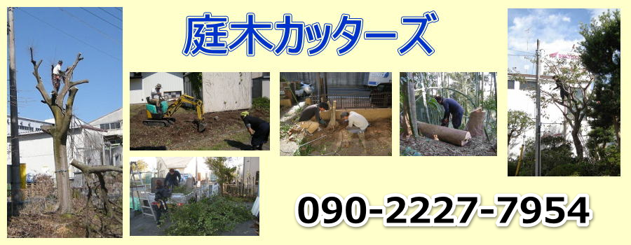 庭木カッターズ | 狛江市の庭木の伐採を承ります。